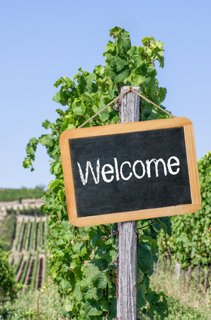 Blackboard in the vineyards - Welcomeの写真素材