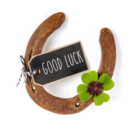 A horseshoe with a four-leafed clover