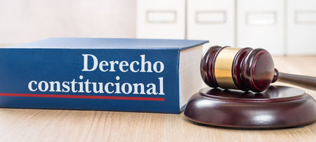 A law book with a gavel - Constitutional law in spanishの写真素材