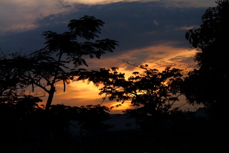 public park2の写真素材