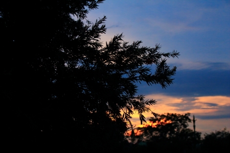 public parkの写真素材