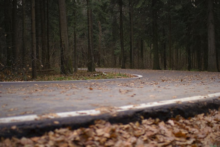 Asphalt road turns left through the autumn forestの写真素材