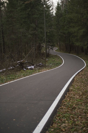 Asphalt road slope turns left through the evening autumn forestの写真素材