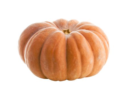 Close-up view of pumpkin isolated on whiteの写真素材