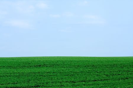 Peaceful landscape - natural green field with soft blue skyの写真素材