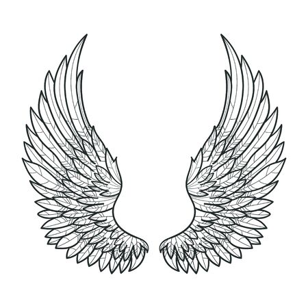 A pair of bird wings. drawn by hand. Black and white. For prints. posters, tattoos. Vectorのイラスト素材
