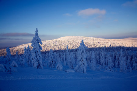Blue moment on winter time in laplandの写真素材