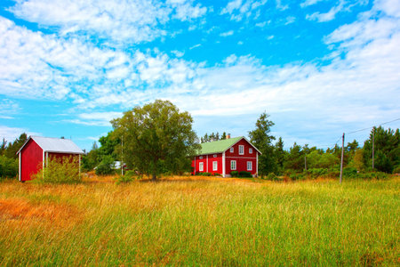 Summer landscape and blue sky with houdesの写真素材