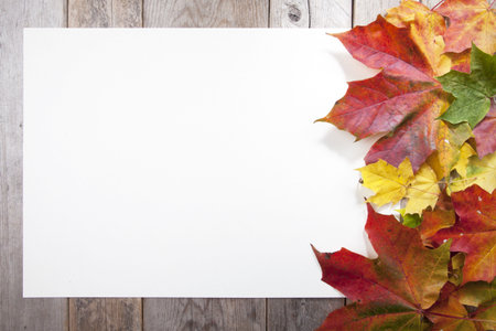 Autumn leaves on wooden background with white paper