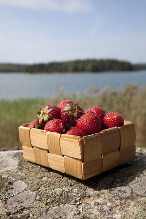  Strawberries in a small wooden basket on rockの写真素材