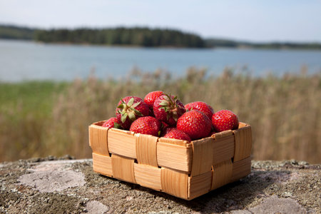  Strawberries in a small wooden basket on rockの写真素材