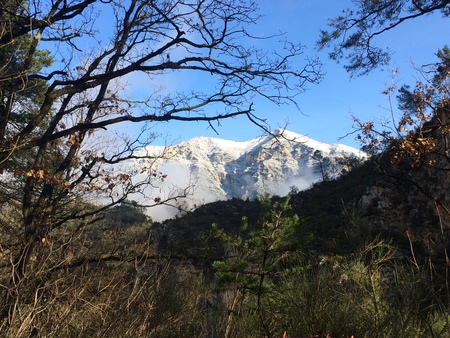 winter landscapeの写真素材