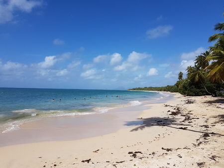 Caribbean dream beachの写真素材