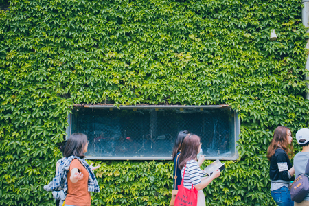 Taipei, Taiwan - June 12, 2018: Huashan 1914 Creative Park, was built in 1914 as a winery but in 2005 turned as a park and is home of art exhibitions, boutique and cafes.のeditorial素材