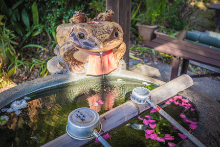 A purification fountain called the chozuya, is where you purify yourself by cleaning your body and...
