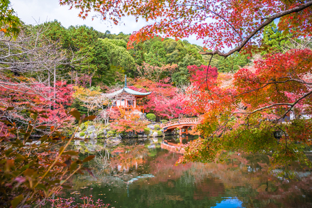 Kyoto, Japan - November 23, 2018: The Bentendo Hall is famous for the beautiful colored leaves in the fall when maples and ginkgos turn red and yellow.のeditorial素材