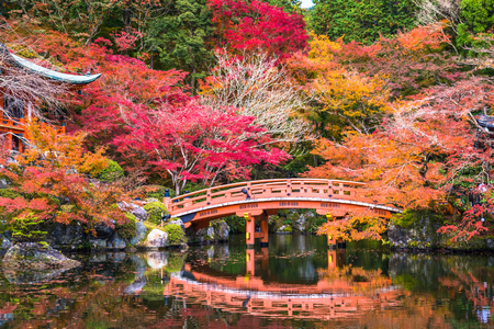 Kyoto, Japan - November 23, 2018: The Bentendo Hall is famous for the beautiful colored leaves in the fall when maples and ginkgos turn red and yellow.のeditorial素材