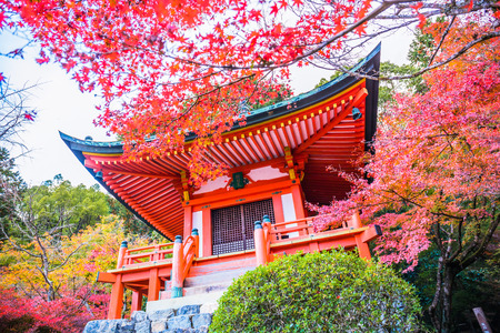 Kyoto, Japan - November 23, 2018: The Bentendo Hall is famous for the beautiful colored leaves in the fall when maples and ginkgos turn red and yellow.のeditorial素材