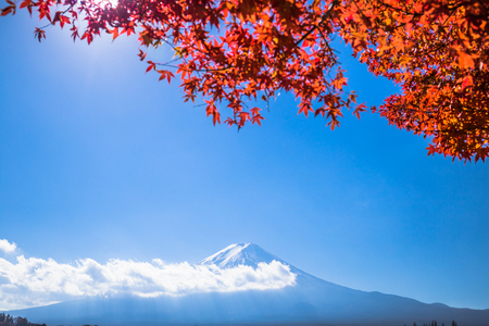 Colorful autumn season and Mount Fuji with maple leaves at lake Kawaguchiko in Japanの写真素材
