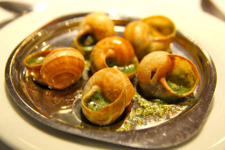 Local french delicacy, Escargot, Dijon Franceの写真素材