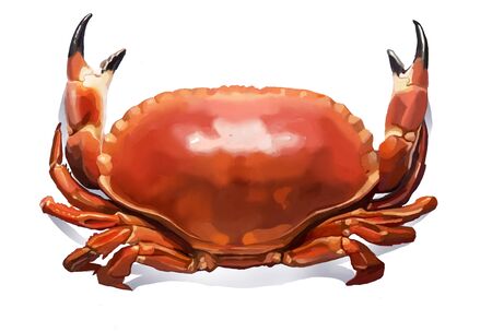 illustration of crabの写真素材