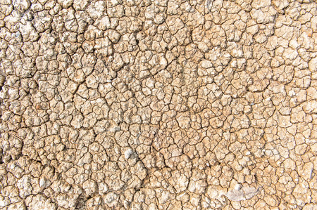 The cracked groundの写真素材