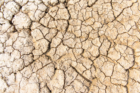 The cracked groundの写真素材