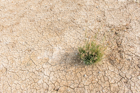 The cracked groundの写真素材