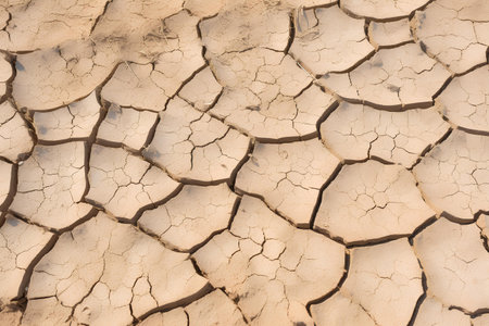 The cracked, beige-colored surface of desert ground, telling the story of intense heat and the absence of moisture.の素材