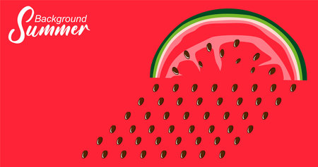 Watermelon slice on red background. Vector illustration of watermelon slice.のイラスト素材