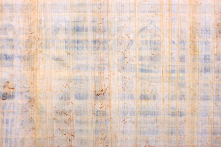 Natural blank papyrus textureの写真素材