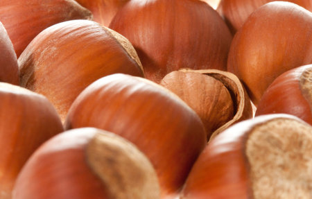Hazelnuts. Color image. Macro.