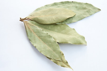 Bay leaves on white background