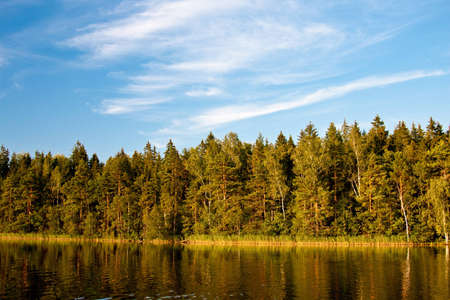 View of the beautiful lake and forest; natuural landscapeの写真素材