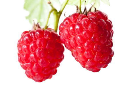 Ripe raspberries isolated over white background