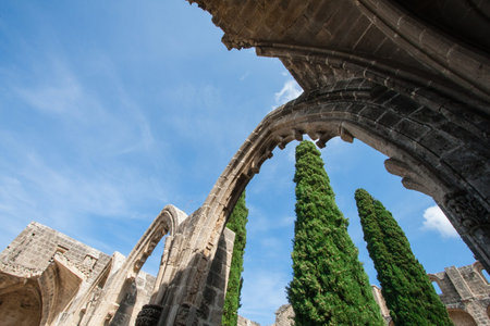 View of Bellapais Abbey  The Abbey of Peace  built in 13th century, Cyprusの写真素材