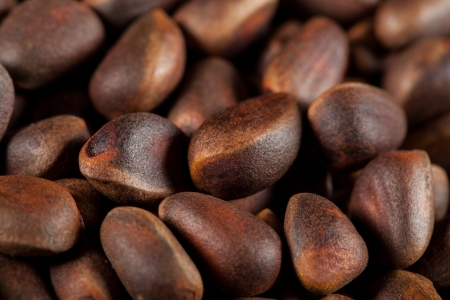 Cedar nuts background - macro shotの写真素材