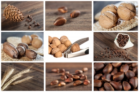 Collection of nut and seed images on various backgroundsの写真素材