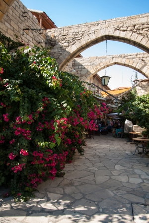 Beautiful Cyprus cafe with small gardenの写真素材