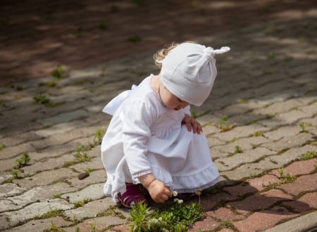 Little girl in white dress picking flowersの写真素材