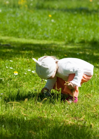 Beautiful little girl picking flowers in a parkの写真素材