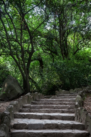 Morning in the park; summer landscapeの写真素材