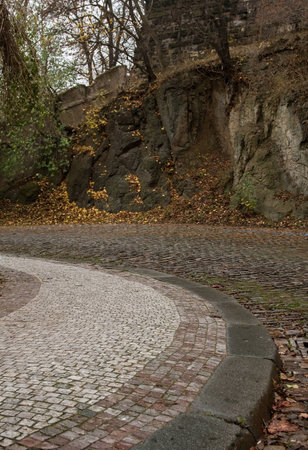 Paved road in the parkの写真素材