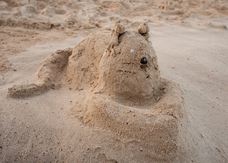 Funny cat from sand on a seashoreの写真素材