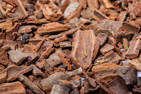 Cinnamon background - macro shotの写真素材