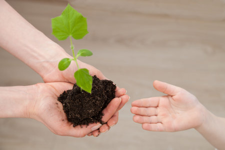 Female hands giving a green sprout in child's palm, neutral background
