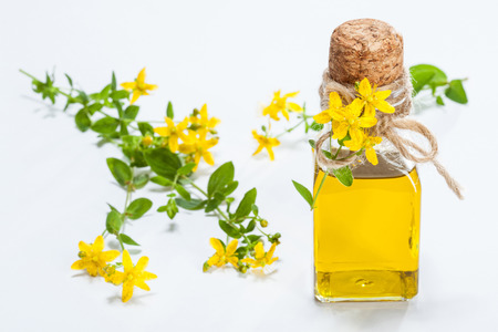 Small bottle of essential oil and fresh St.-John's wort plant - concept of natural skincareの写真素材
