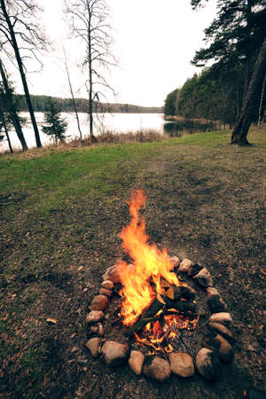 Bright campfire in the natureの写真素材