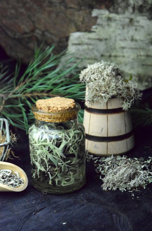 Iceland reindeer moss tincture natural bioの写真素材