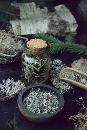 Iceland reindeer moss tincture bio organicの写真素材